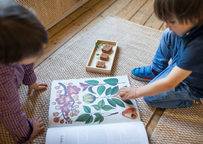 Montessori Classroom